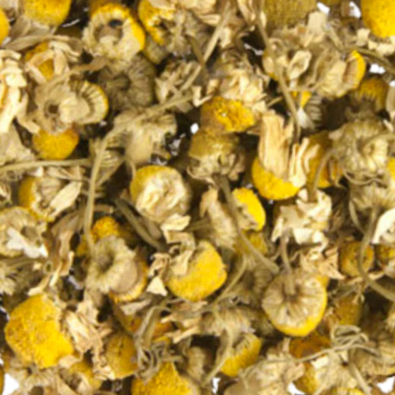 Organic Chamomile | Wholesale