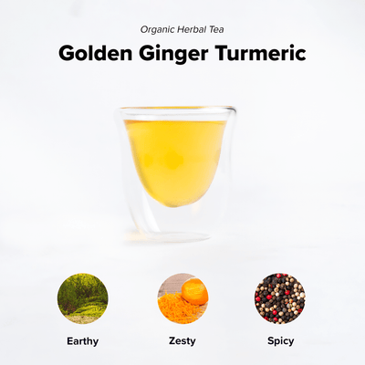 Golden Turmeric Ginger | Wholesale