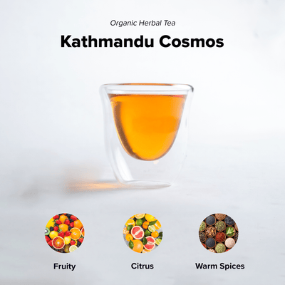 Kathmandu Cosmos | Wholesale
