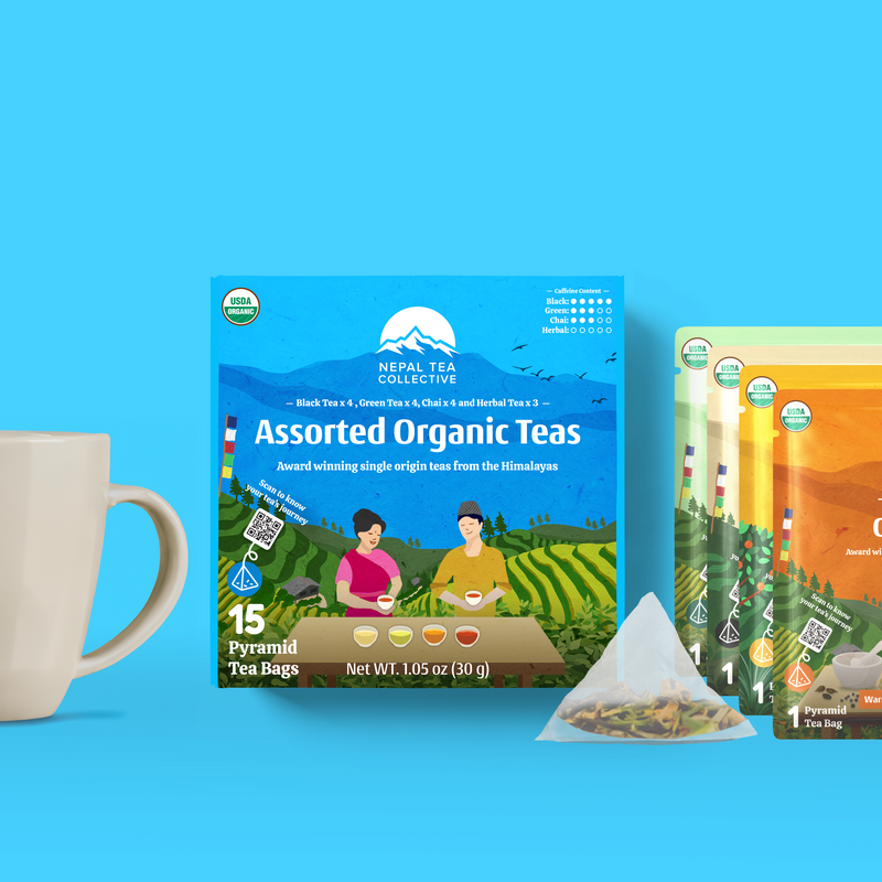 Assorted Tea Bag Sampler Pack (Set of 6) | Wholesale